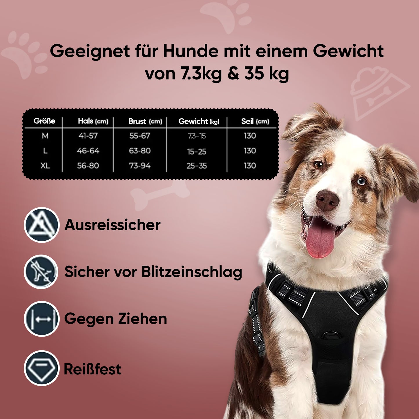 Hundegeschirr mit integrierter Leine