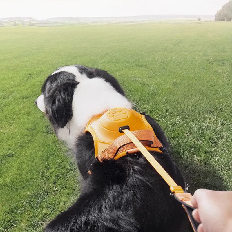 Hundegeschirr mit integrierter Leine